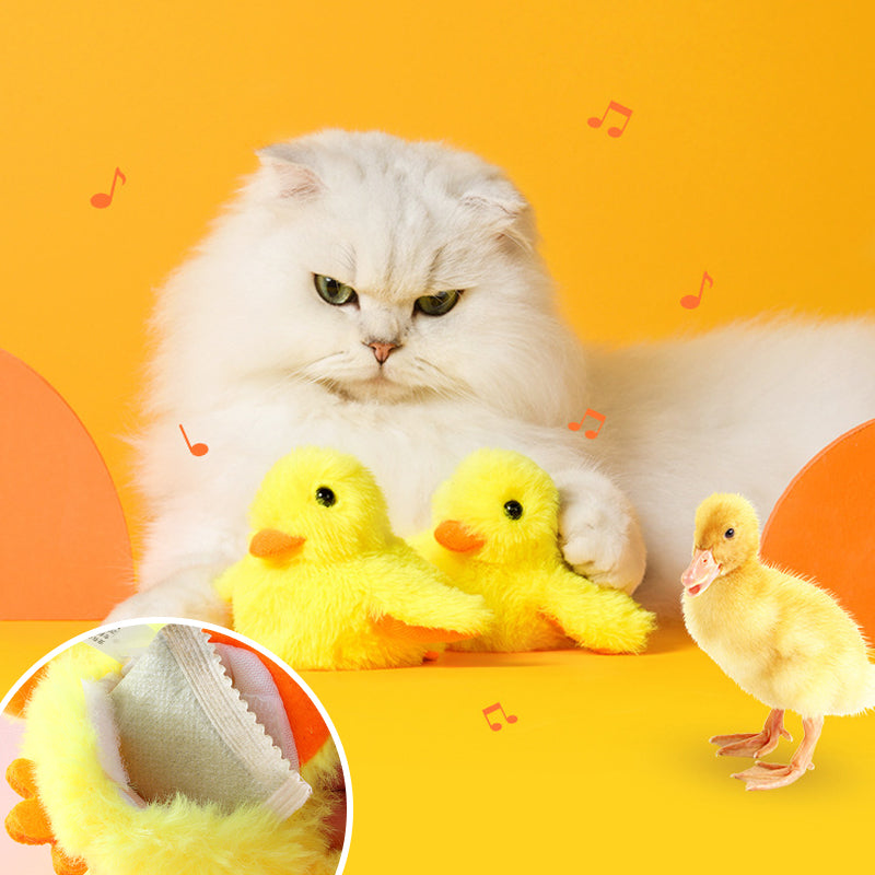 Yellow duck toy for cat